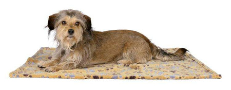 WEŁNIANY KOCYK Laslo  100 × 70 cm, BEŻOWY