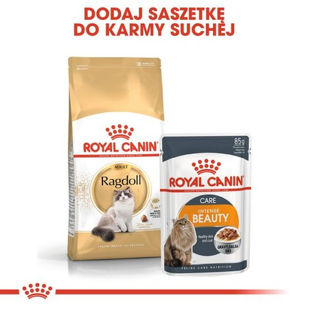 Royal canin ragdoll adult karma sucha dla kotów dorosłych rasy ragdoll 400g