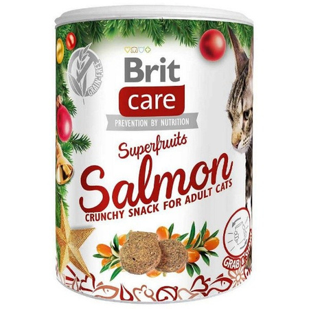 Brit Care Christmas Superfruits łosoś dla kota 100 g