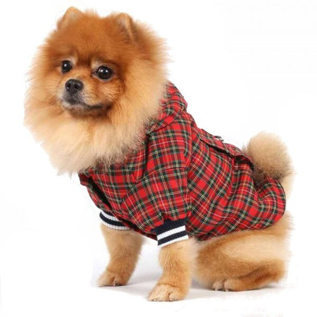 Doggy dolly kurtka w kratkę