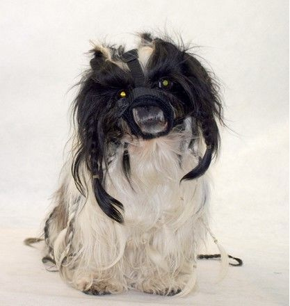 Grande Finale kaganiec dla psów z krótką kufą 2/S