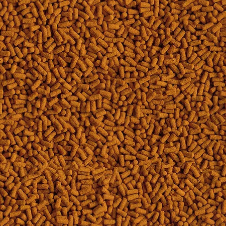 Tetra pond KOI colour&growth 4 L