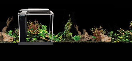 Akwarium szklane Fluval SPEC III z LED, 10L, 27.5 cm x 30 cm x 22.3 cm, czarne
