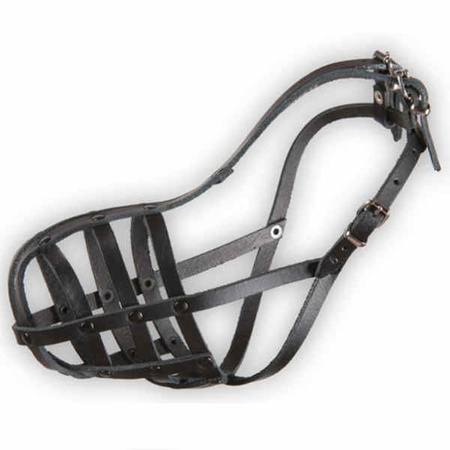 Dino kaganiec skórzany nitowany 7 foksterier