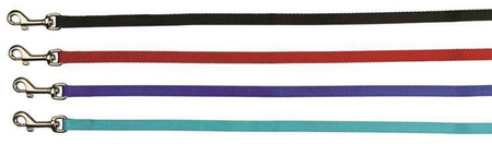 SZELKI DLA DUZEGO KOTA