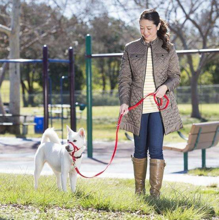 Halti kantarek - obroża uzdowa rozmiar 2 czerwona