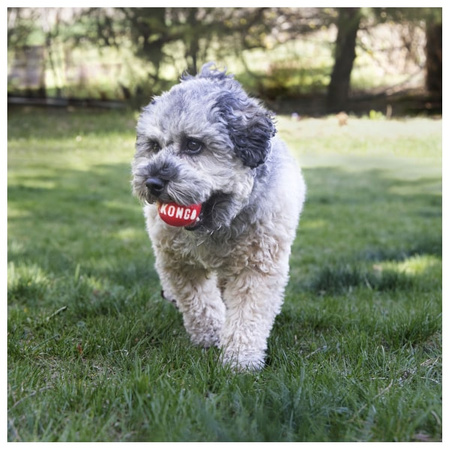 Kong Signature Ball dla psa 2 szt. M