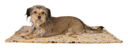 WEŁNIANY KOCYK Laslo  100 × 70 cm, BEŻOWY