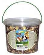 Nestor Pokarm dla dużych gryzoni i królików orzechowo-owocowy 3L