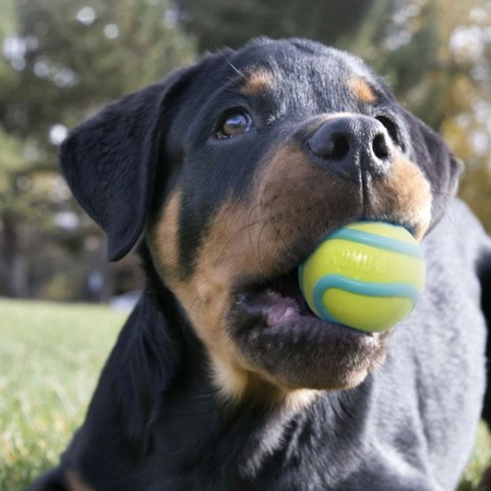 Kong Wavz Bunji Ball dla psa M 