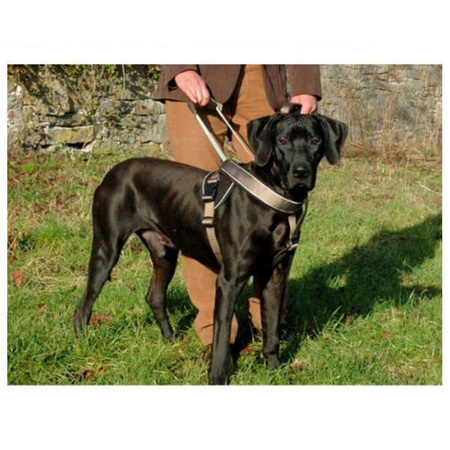 Patento pet szelki jockey z uchwytem i zintegrowaną smyczą dla psa