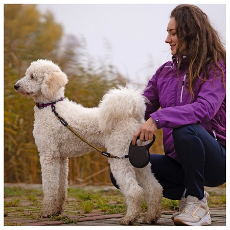 Adapter idealeash flextender maxi dla psa 