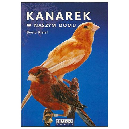 Kanarek w naszym domu