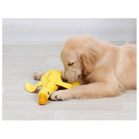 Doglemi zabawka węchowa Kaczka dla psa