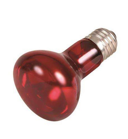 Punktowa lampa grzewcza, podczerwień, czerwona, 75W