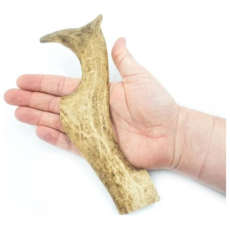 Poroże daniela gryzak dla psa XL