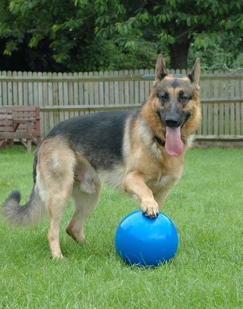 Boomer ball s - 4" / 11cm niebieska