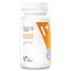 Vetexpert immune system dla psa, kota 30 kaps
