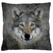 Bertoni poduszka Lupo 40x40 cm