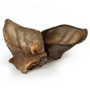 Balto Ucho dzika 1 szt