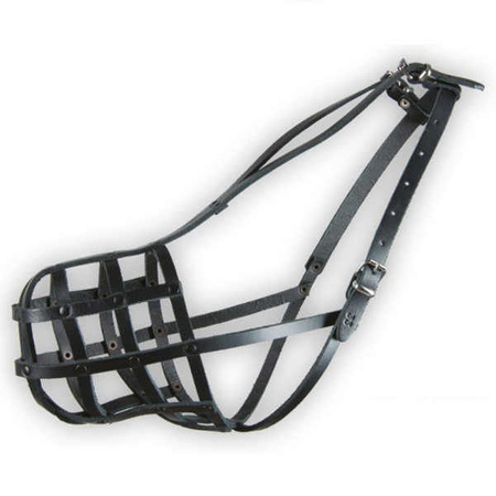 Dino kaganiec skórzany nitowany 33 rottweiler średni