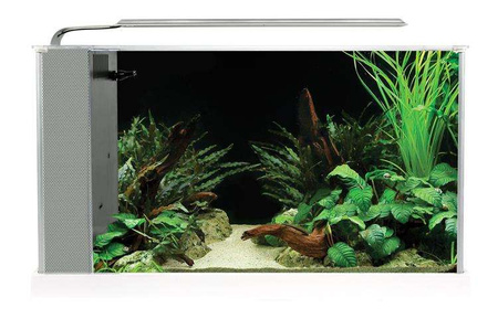 Akwarium szklane Fluval SPEC V z LED, 19L, 52 cm x 29.5 cm x 19 cm, białe