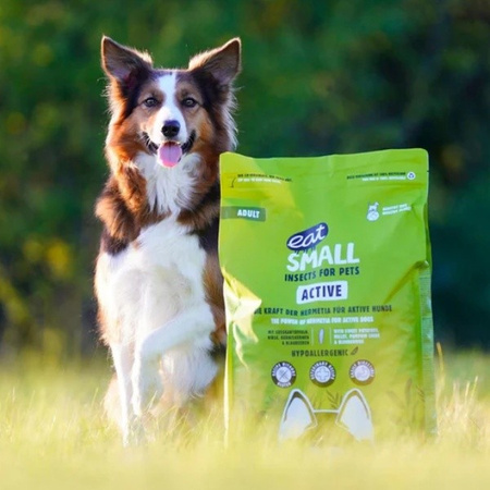 EAT SMALL Active karma sucha z insektów 100 g