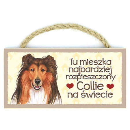 Power gift magnez z pupilem - collie