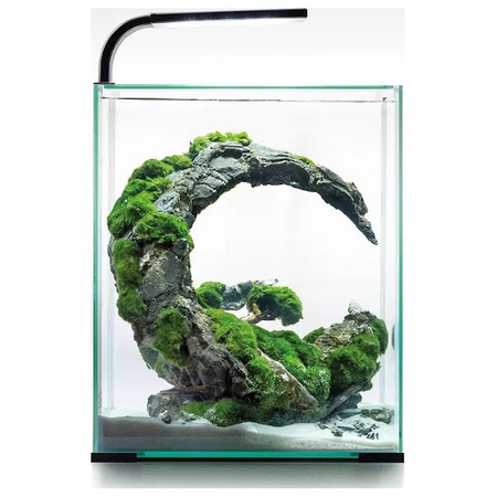 Shrimp Set Day & Night 10l czarny