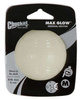 Chuckit! Max Glow Ball Medium [32313]
