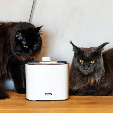 Zolux Iguazu fontanna, poidło dla kota i psa 3 l