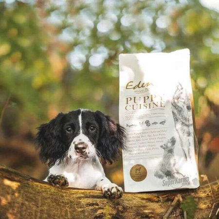 Karma dla psa Eden Puppy Cuisine rozmiar M/L - karma dla szczeniąt i juniorów średnich i dużych ras, łosoś, drób, ryby  2kg, 12 kg