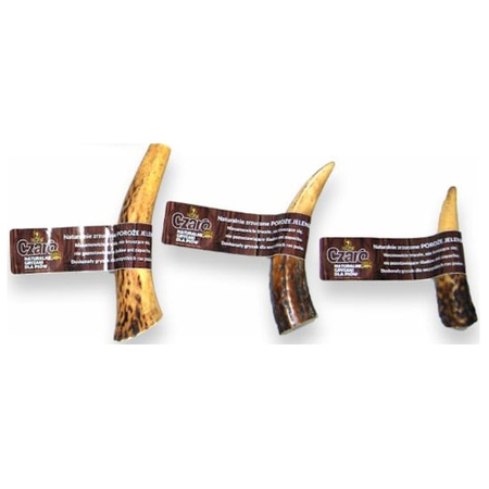 Poroże jelenia gold gryzak dla psa M