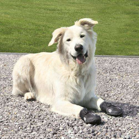 BUTY OCHRONNE Walker Active, XL, 2 szt.