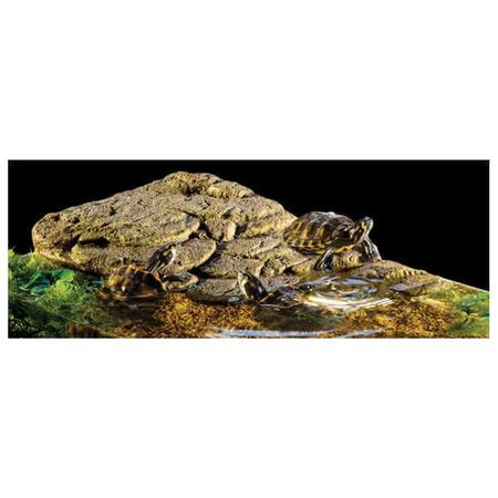 Wyspa dla żółwia, L