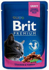 Brit cat for wellness & beauty kurczak z indykiem 100g