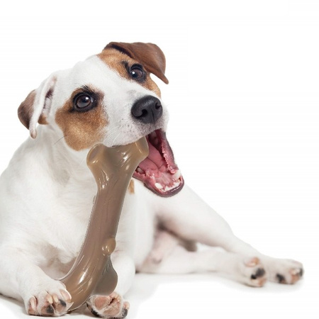 Petstages Liver Branch gryzak dla psa 20 cm L