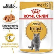 Royal canin british shorthair karma mokra w sosie dla kotów dorosłych rasy brytyjski krótkowłosy saszetka 85g