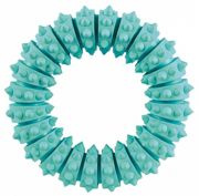 Denta Fun, obręcz, do zabawy i czyszczenia zębó, dla psa,  guma naturalna, 12 cm, o smaku mięty