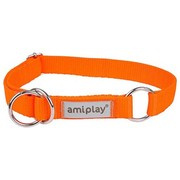 amiplay Samba pomarańczowa obroża półzaciskowa regulowana M