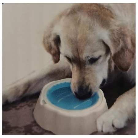 Freeze Bowl miska chłodząca dla psów 970 ml