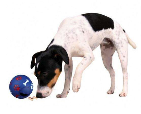 Trixie piłka smakula na przysmaki dla psa 11 cm