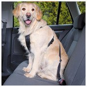 SZELKI SAMOCH. DLA PSA L