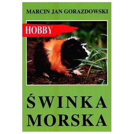 Świnka morska