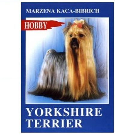 Yorkshire terrier