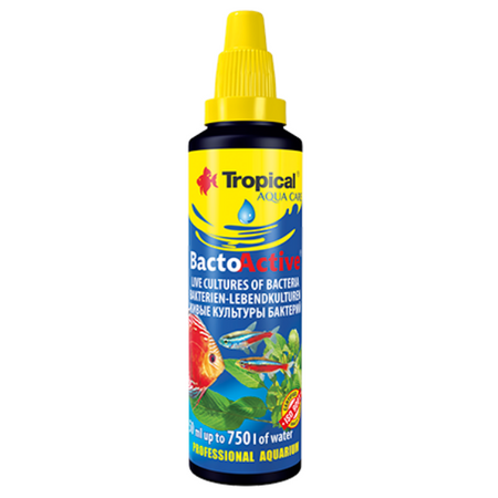 Tropical Bacto-Aktyveżywe bakterie 30 ml