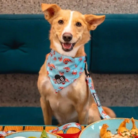 Baylabe Under The Sea obroża dla psa M