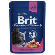 Brit cat for wellness & beauty łosoś z pstrągiem 100g