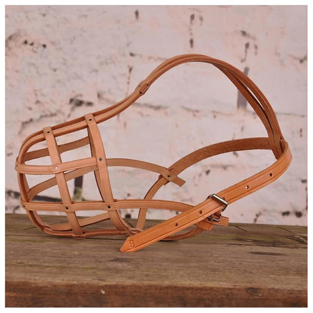 Dino Kaganiec skórzany 8 rottweiler mały, dla psa  