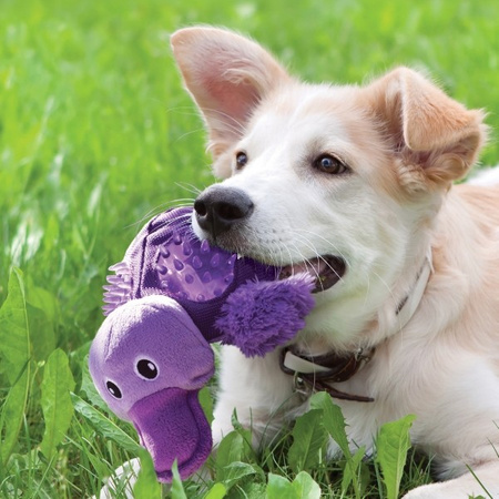 Kong Shells Turtle dla psa S 